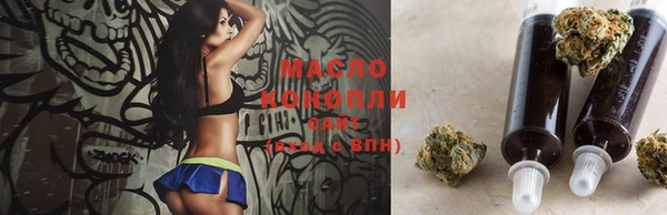 индика Наволоки