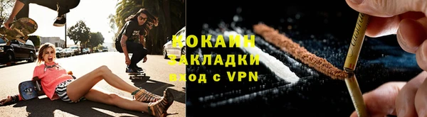гидра Надым