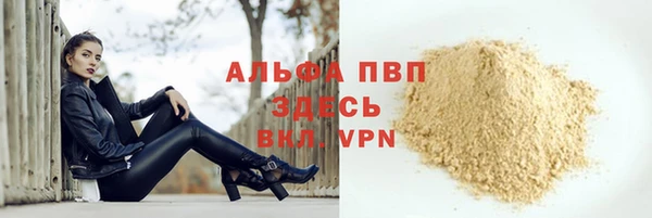 гидра Надым
