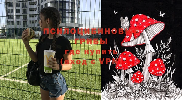индика Наволоки