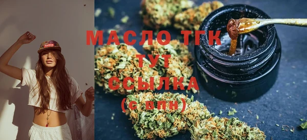 индика Наволоки