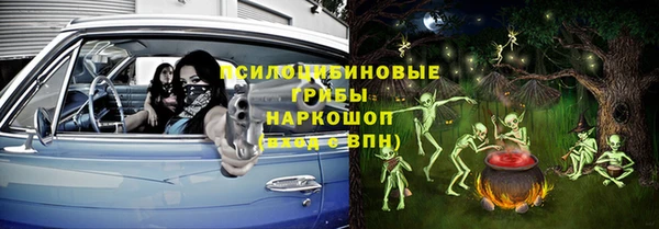 индика Наволоки