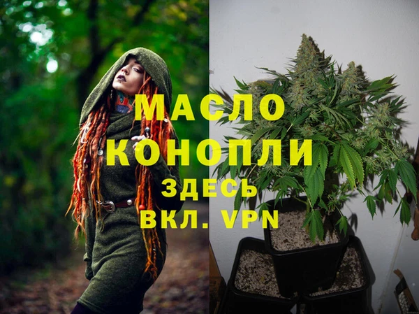 гидра Надым