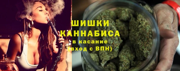 гидра Надым