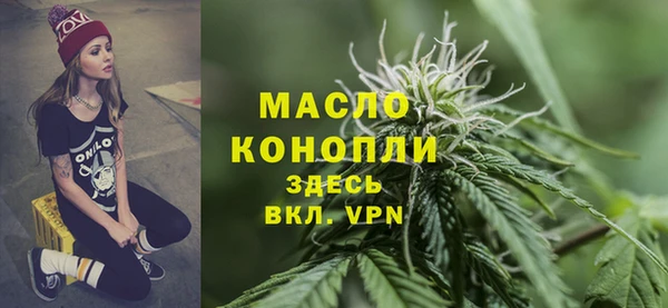 индика Наволоки
