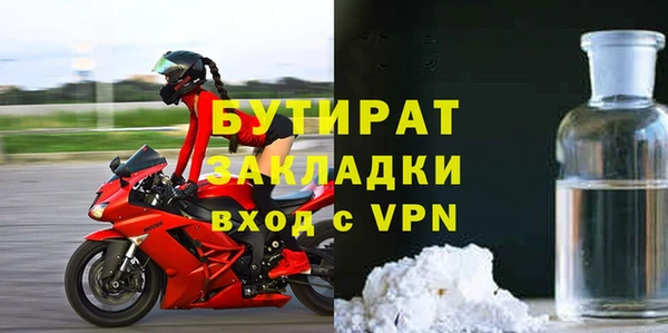 гидра Надым