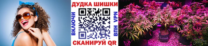 Марихуана сатива  Томск 