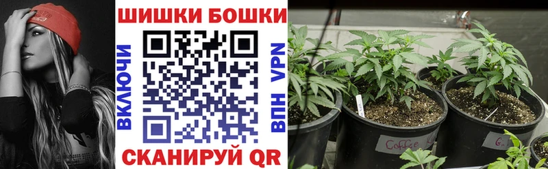 Шишки марихуана сатива Томск